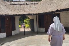 IMG_20251026_133303822