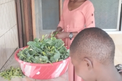 IMG_20250925_093633329