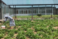 IMG_20251017_111855623