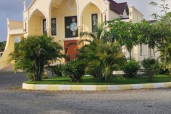 IMG_20251120_071157851