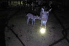 IMG-20250223-WA0077