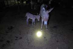 IMG-20250223-WA0078