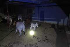 IMG-20250223-WA0080