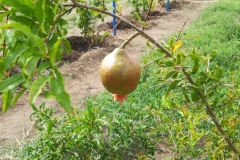 IMG-20191111-WA0000