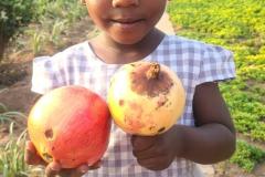 IMG-20250228-WA0002