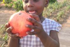 IMG-20250228-WA0006