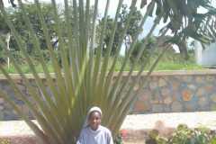 IMG-20231110-WA00301