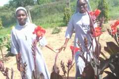 IMG-20231110-WA00351