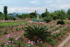 IMG-20250202-WA0008