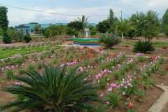 IMG-20250202-WA0011