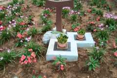 IMG-20250202-WA0014