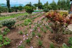 IMG-20250202-WA00161