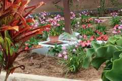 IMG-20250202-WA0017
