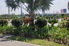 POWRÓT DO BUKANGA 2025