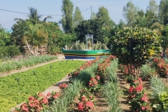 IMG_20250914_091136624