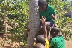 IMG_20250920_143804850