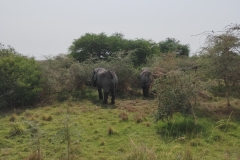 IMG_20251001_095148846