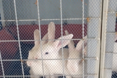 IMG_20251004_134600983