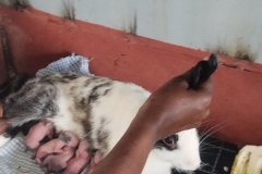 IMG_20251004_135537642