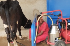 IMG_20251005_101851429