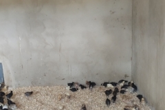 IMG_20251011_110551355