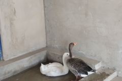 IMG_20251011_110841227