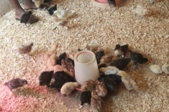 IMG_20251012_093703700