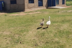 IMG_20251012_100128283