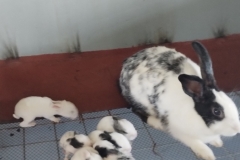 IMG_20251014_092129577