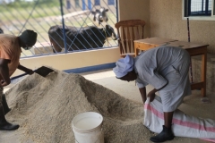 IMG_20251017_110706098_PORTRAIT