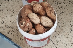 IMG_20251017_112558962