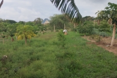 IMG_20251029_164756623