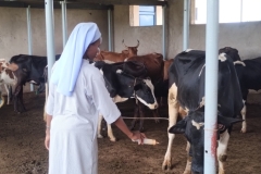 IMG_20251108_095057666