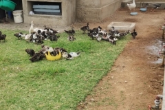 IMG_20251108_100354508