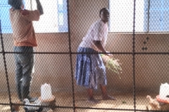 IMG_20251108_101007126