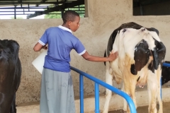 IMG_20251108_101845406