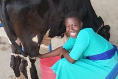 IMG_20251108_161635565