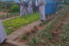 IMG-20250319-WA0003