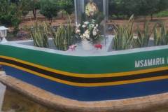 IMG-20250319-WA0004